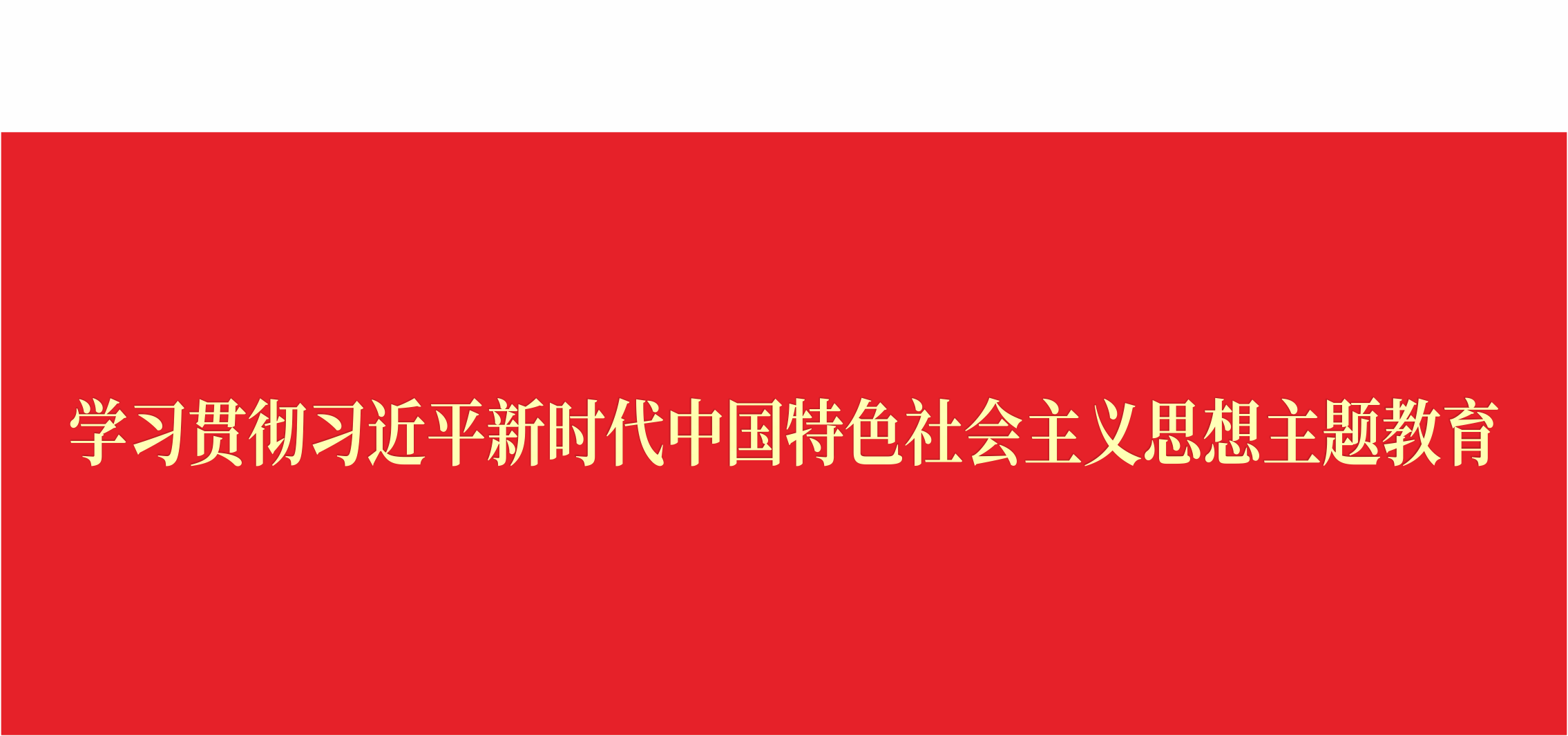 學習貫徹習近平新時代中國特色社會主義思想主題教育